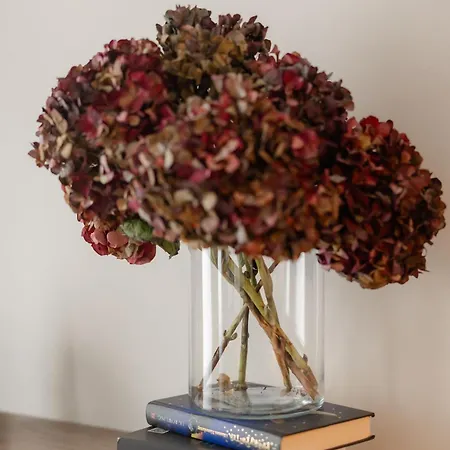 Perla W Klodzku 2 * קלודז'קו