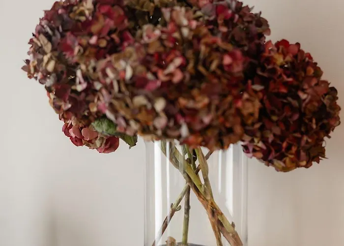 Perla W Klodzku 2 * Kłodzko